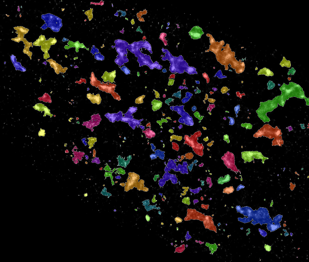 A segmentation map of lysosomes